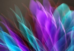 xóc đĩa di động New88